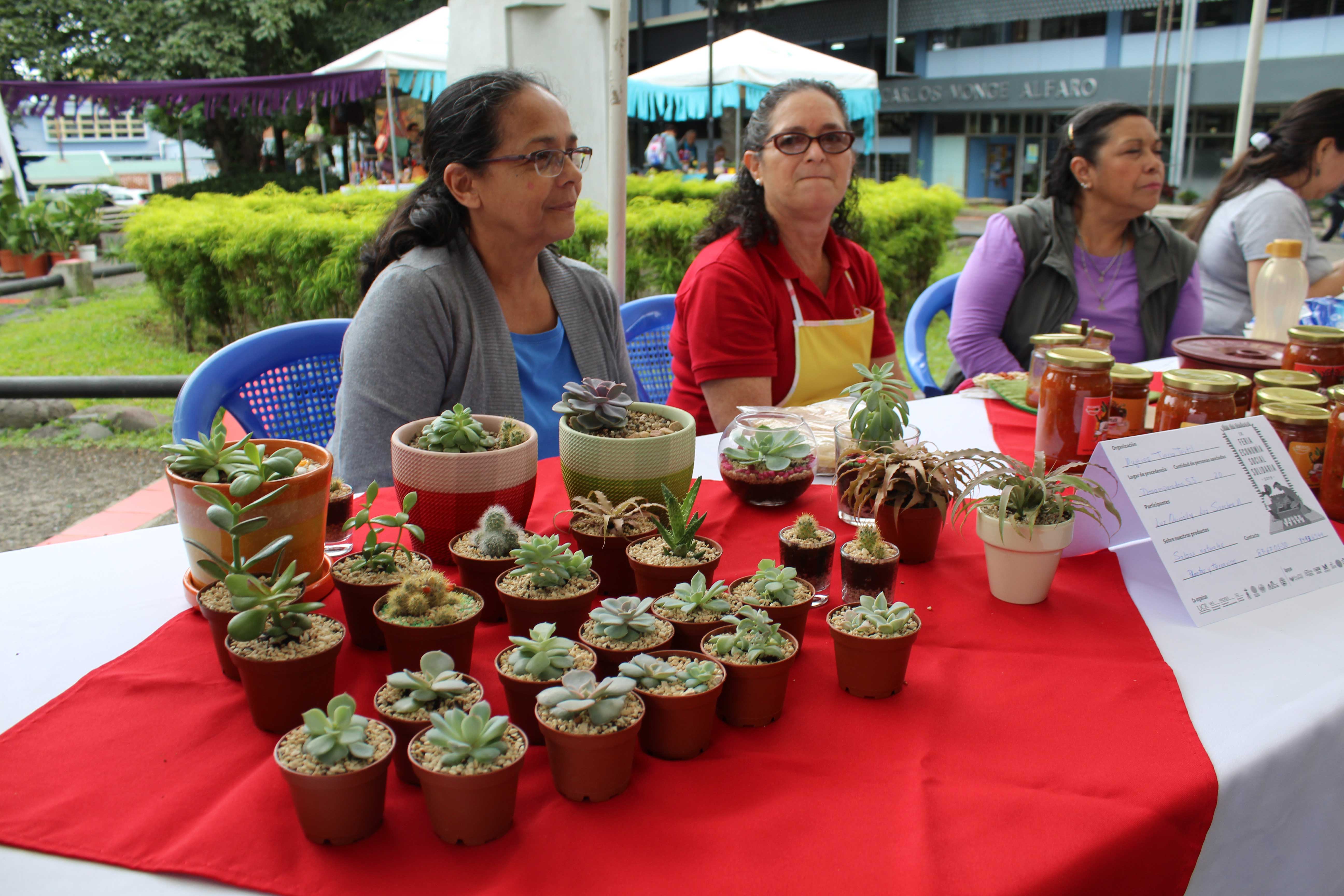 img-galeria-quote-Mujeres venden pequeñas macetas con plantas y terrarios.