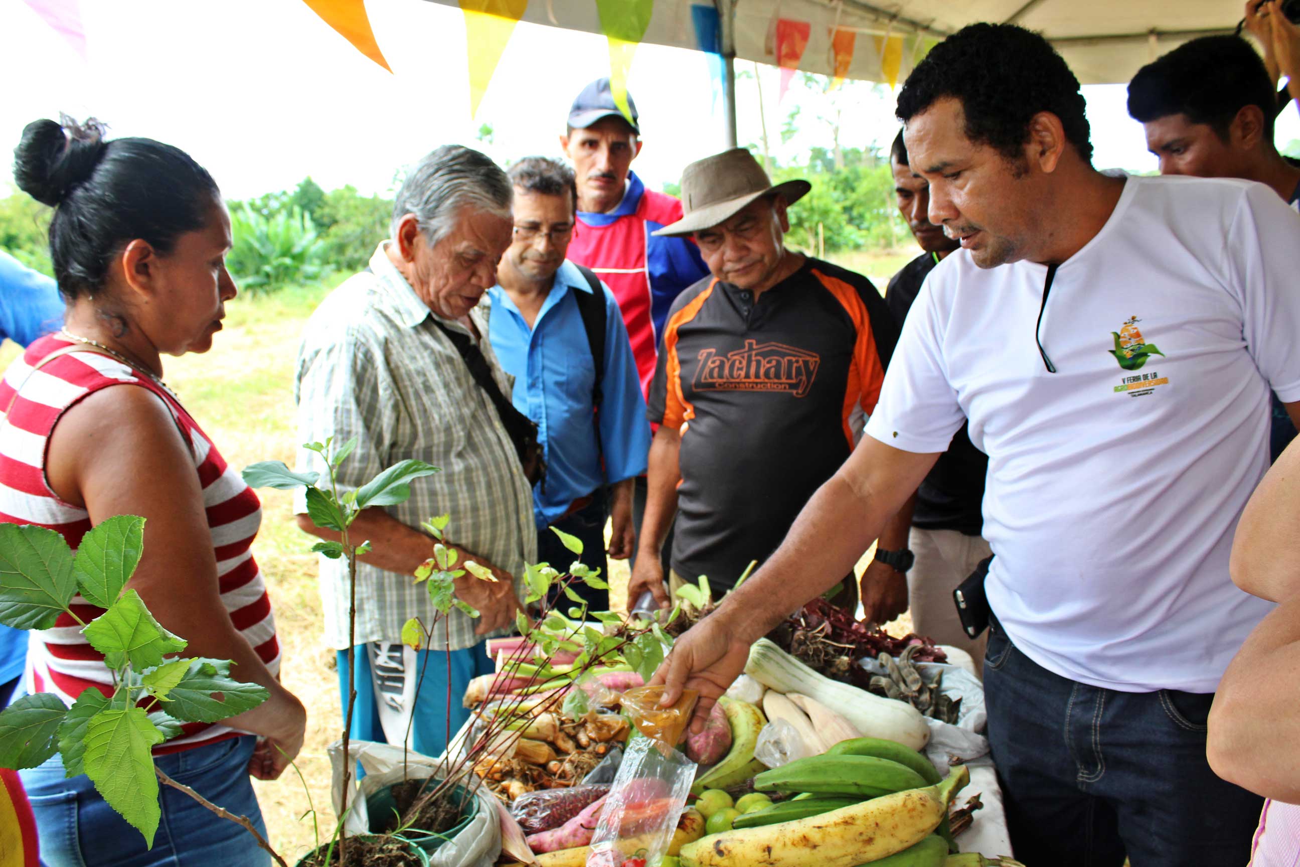 img-galeria-quote-Miembros de la Cátedra de Saberes Comunitarios realizaron un encuentro de intercambio de semillas criollas y plantas con la comunidad de los Almendros.