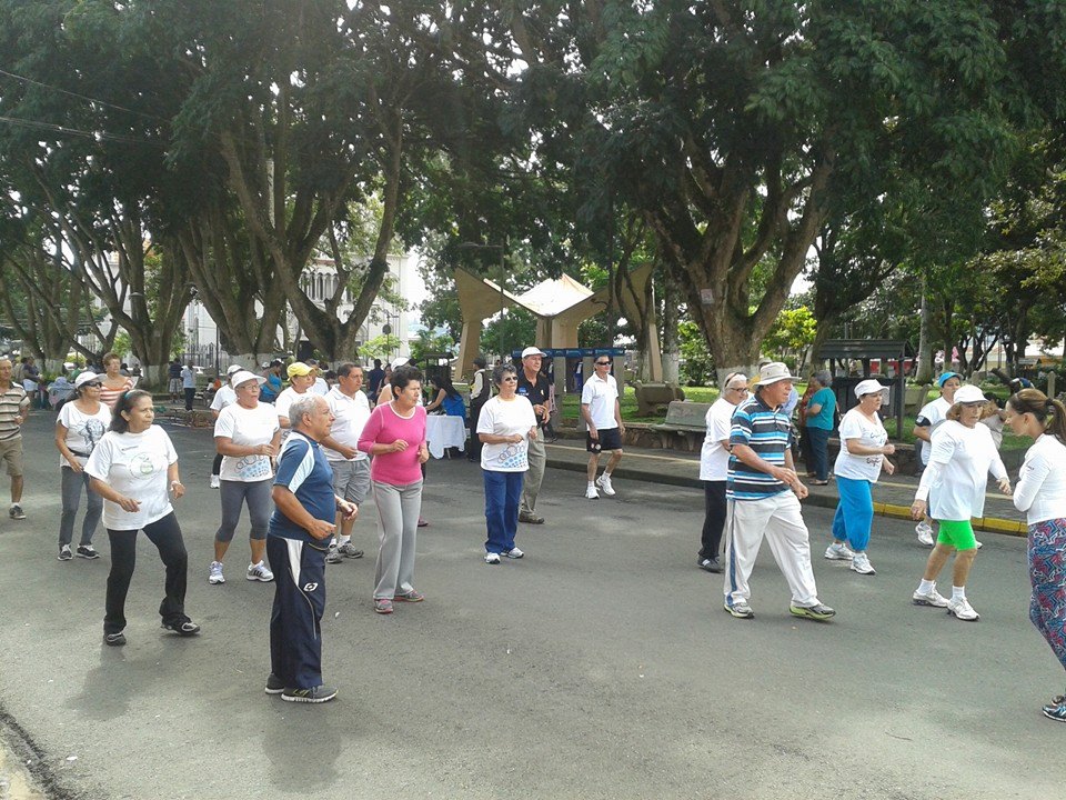 Como parte del programa de Avenida Cultura, se realizaron actividades físicas para personas adultas mayores.  Foto: Perfil de facebook de Avenida Cultura.