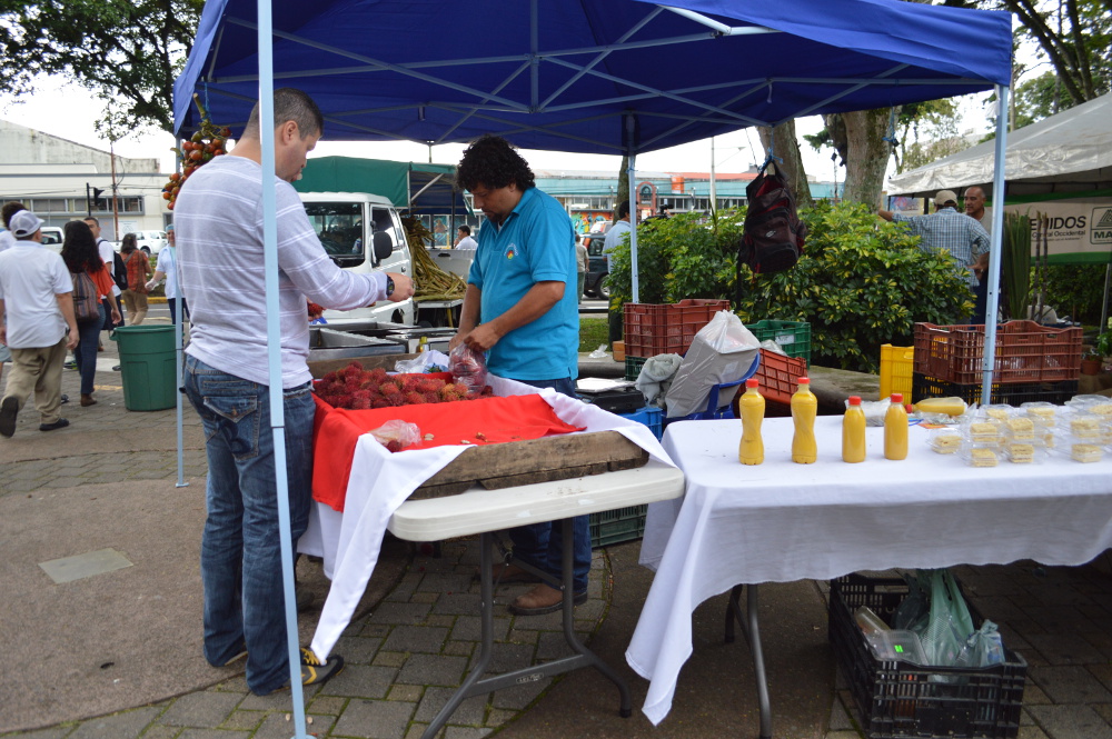 Productor agricola vendiendo en la Feria de Seguridad Alimentaria UCR. Foto: Massiel Calderón Rojas