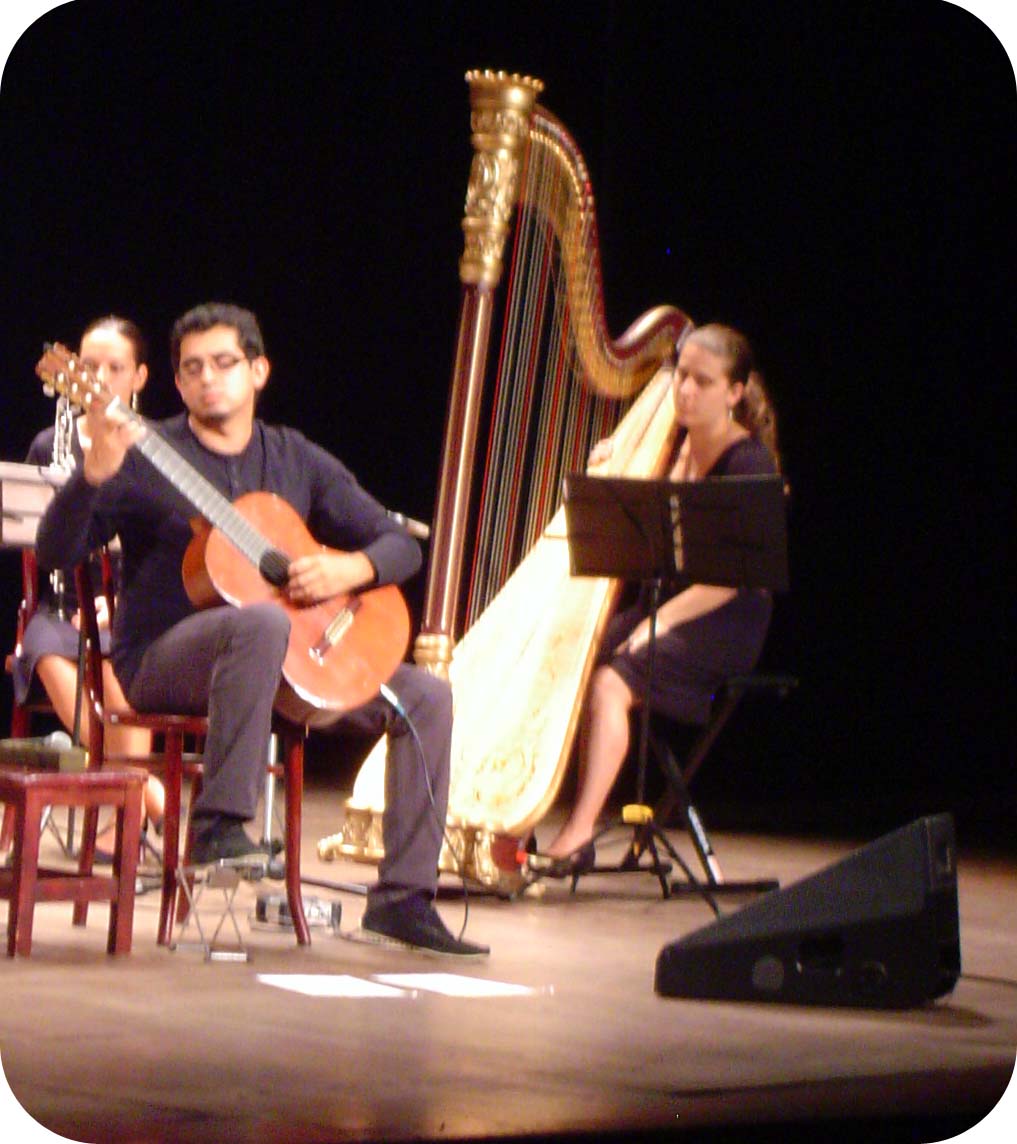 El guitarrista Nicolás Alvarado es el solista del espectáculo. Se egresó de la Escuela de Artes Musicales en el 2010.