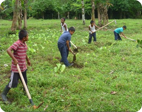 img-noticia-Estudiantes de 4º grado empuñaron las herramientas para salir al campo e iniciar con la elaboración de la huerta