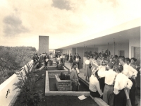 Exposición muestra la infraestructura de la Universidad de Costa Rica a lo largo de estos 70 años. Foto: Archivo