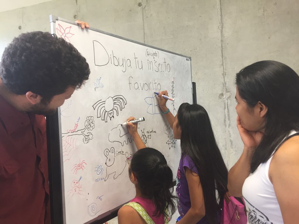 Niños y niñas pudieron aprender sobre la importancia de las zompopas y otros insectos. Foto por Rocío Jiménez.