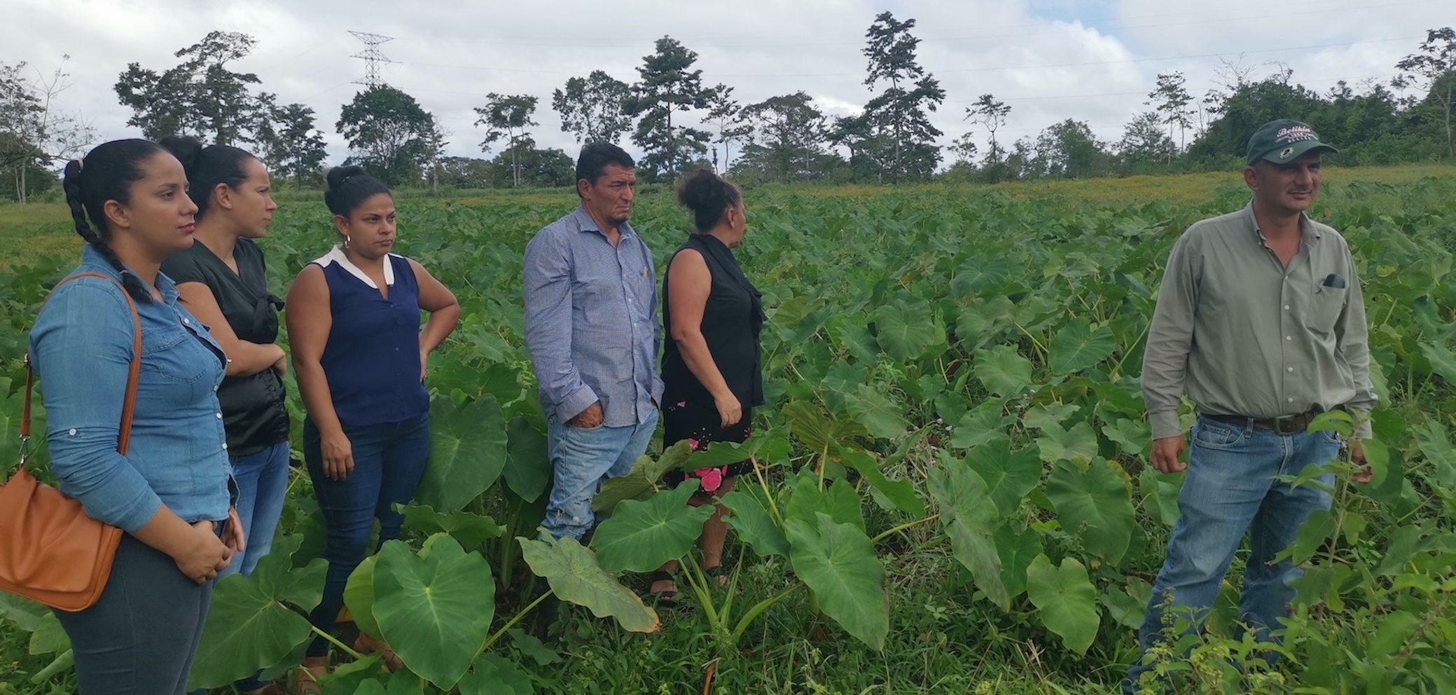 img-noticia-Productores  recorren los cultivos de Ñampi