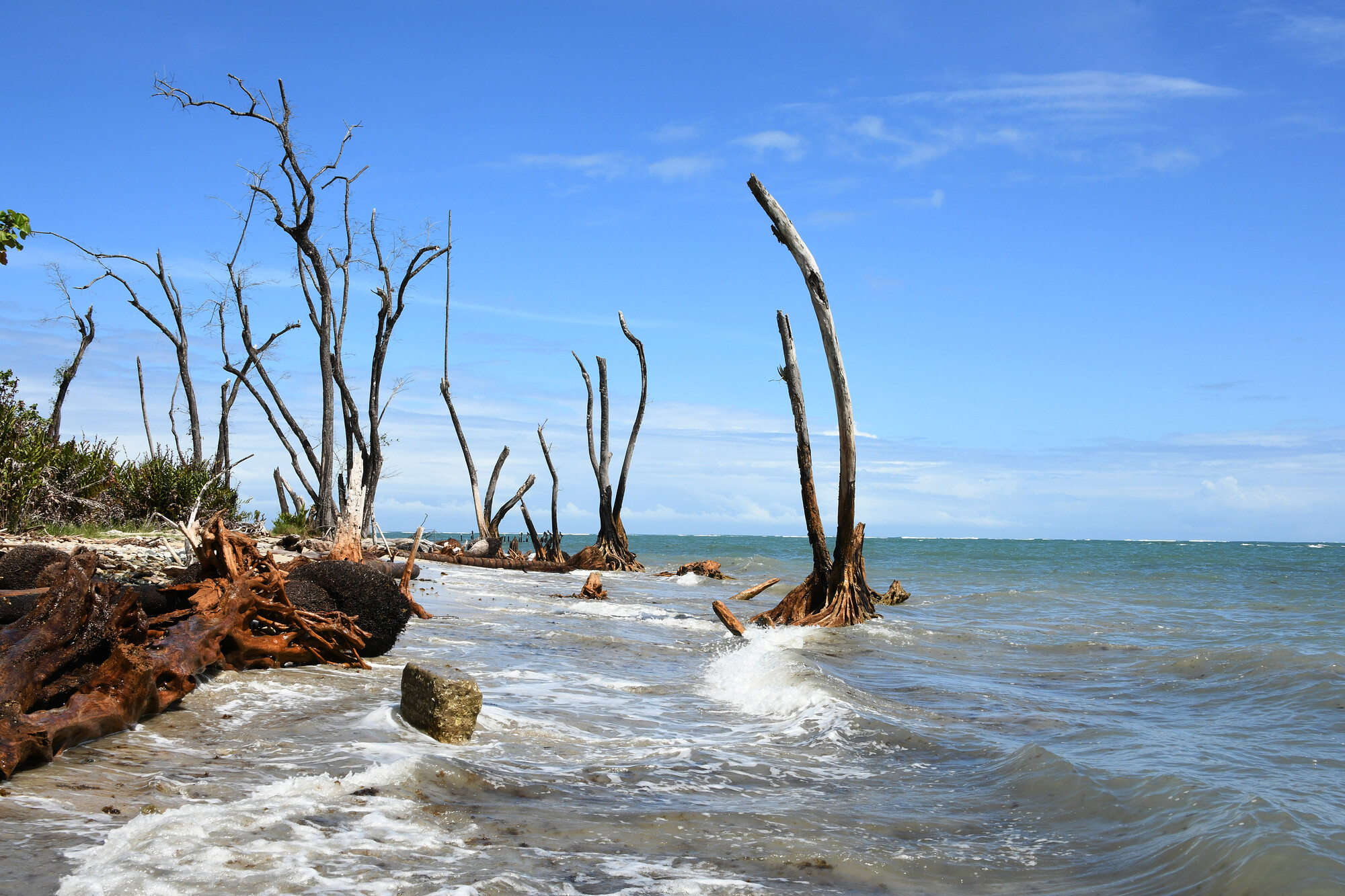 El cambio climático afecta los litorales del mundo, por ejemplo en el sector de Puerto Vargas del Parque Nacional Cahuita la erosión afecta cada vez más territorio. Foto archivo OCI-UCR.
