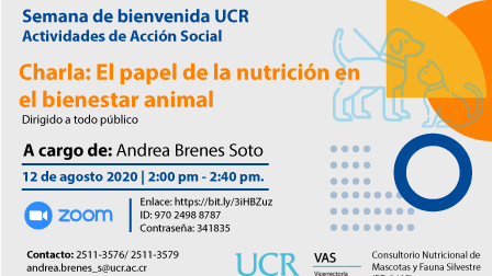 Esta es una de las actividades de la semana de bienvenida de la UCR 