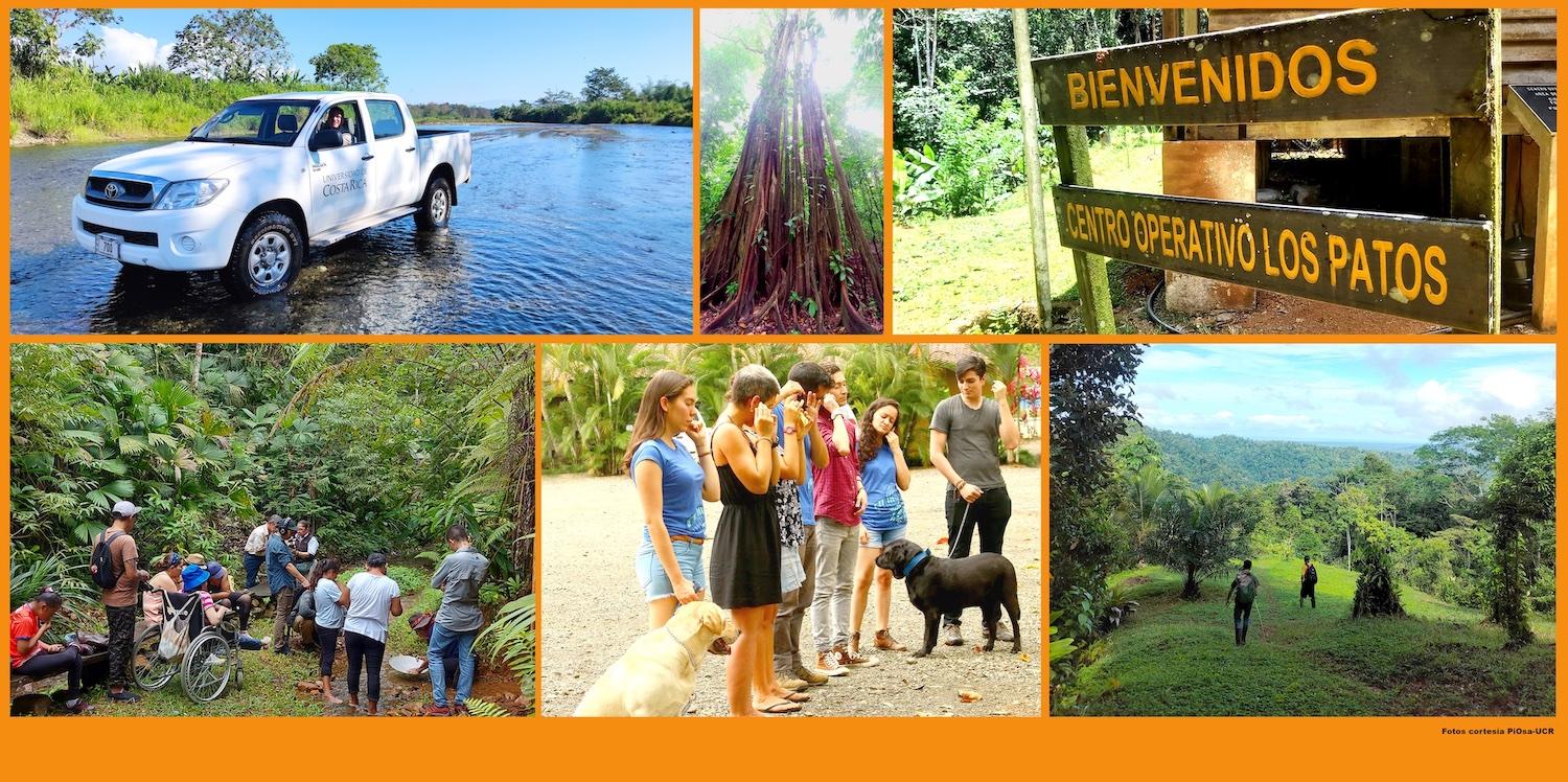 Con el acompañamiento de la UCR las comunidades aledañas al sector de Los Patos, uno de los puntos de entrada al Parque Nacional Corcovado,diseña propuestas turísticas ambiental y culturalmente sostenibles.  Foto cortesía PiOsa.