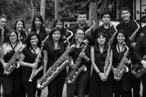 Cuarenta jóvenes de diversas instituciones y países forman parte del conjunto Cuarenta jóvenes de diversas instituciones y países forman parte del conjunto
