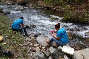 Estudiantes realizaron muestreos de macroinvertebrados para identificar la calidad del agua en distintos puntos de la subcuenca. Foto tomada por Marlon Morúa. Estudiantes realizaron muestreos de macroinvertebrados para identificar la calidad del agua en distintos puntos de la subcuenca. Foto tomada por Marlon Morúa.