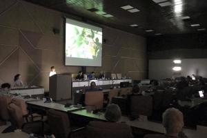 María Fe Alpizar presentó en el Encuentro Internacional de Diseño Forma 2017 en La Habana, Cuba, el proyecto EC-441 de la Sede Interuniversitaria de Alajuela. Fotografìa proyecto EC-441 María Fe Alpizar presentó en el Encuentro Internacional de Diseño Forma 2017 en La Habana, Cuba, el proyecto EC-441 de la Sede Interuniversitaria de Alajuela.