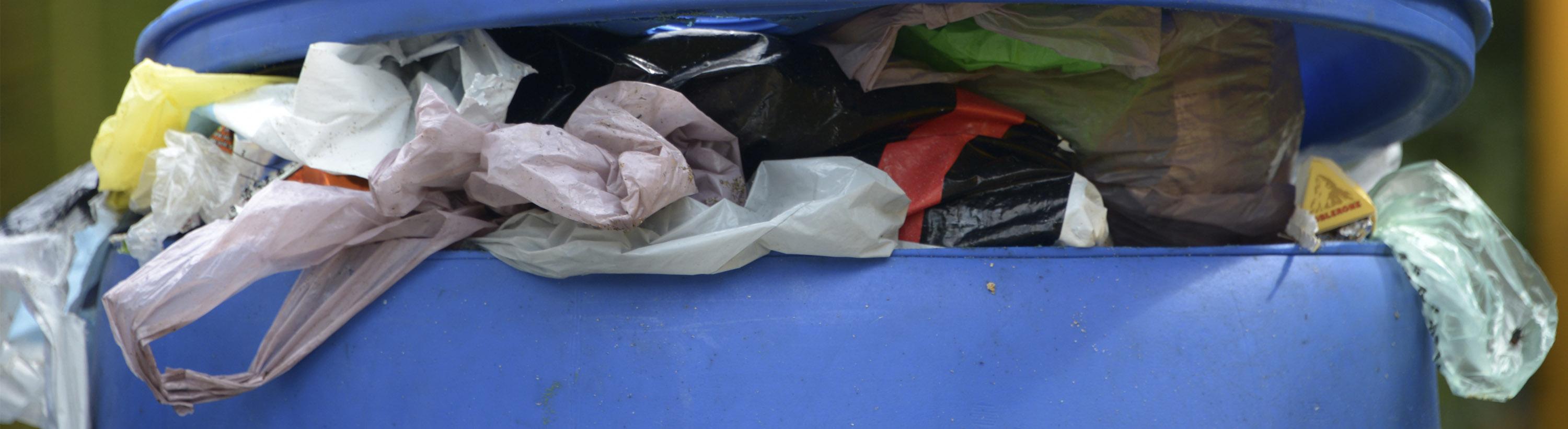 Basura capitalina